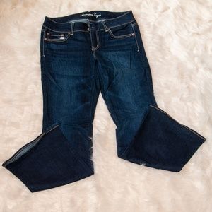 AE artist 10 short jeans